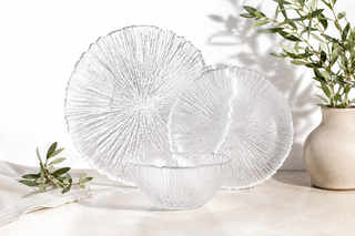 Sea Sponge - 12Pc Dinnerware Clear (Cake Pack 2)